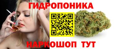 ECSTASY Сланцы