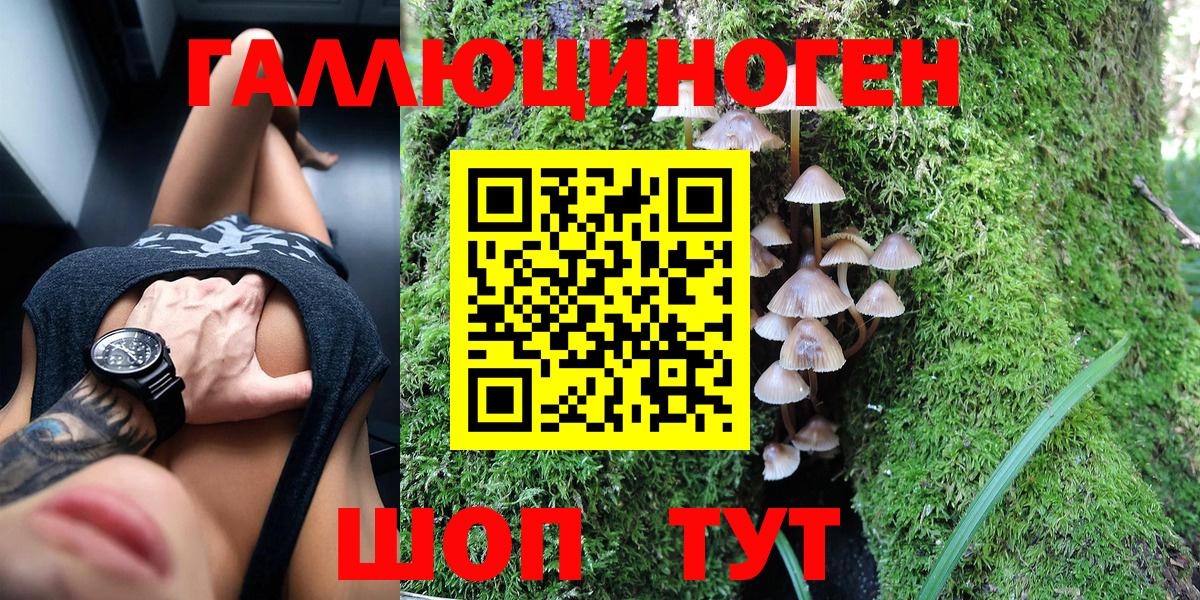 Галлюциногенные грибы прущие грибы  Вход с VPN  Тара  Галлюциногенные грибы GOLDEN TEACHER 