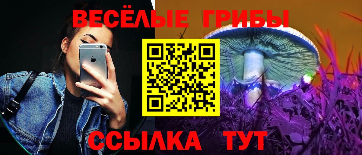 Галлюциногенные грибы Cubensis Тара